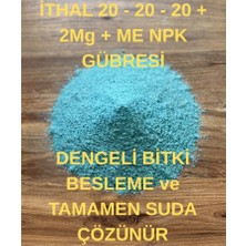 Sağlam Tarım Ithal 20.20.20+2mgo+Me Npk Gübre, Dengeli Besleme, Suda Tamamen Çözünür