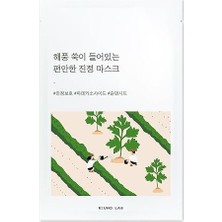 NY Home Roundlab Mugwort Calming Mask Yüz Maskesi 25 ml (10 Adet)