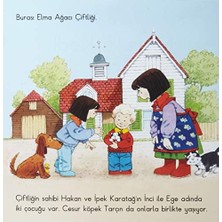 NY Home Çiftlik Öyküleri Meraklı Kedi