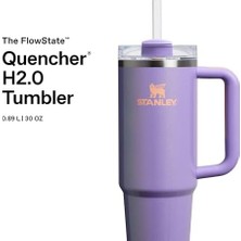 Yağmur Store Pipetli Termos Bardak, 0.89 Litre, Parlak Lila (Periwinkle Shimmer)