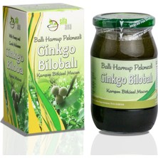 Şifa Ana Ginkgo Bilobalı Bitkisel Karışım Macun (430g)