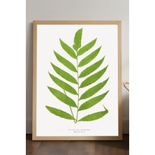 Duvarda Leaf Ahşap Çerçeveli Poster, Dekoratif Sanatsal Duvar Tablosu