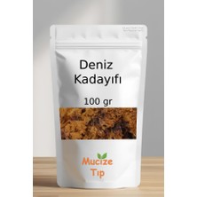 Mucize Tıp Deniz Kadayıfı Dökme 100 gr