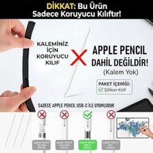 Apple Pencil Usb-C Kılıf Klasik Retro Tasarım Mat Silikon Siyah