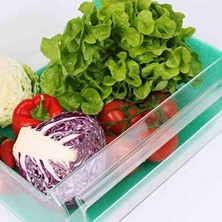 Zg Store Buzdolabı Meyve Sebze Koruyucu Matı Nem & Küf Önleyici Green