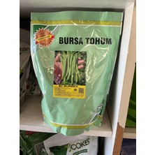 Bursa Tohum Bt Burmen Kaliteli Oturak Fasulye Tohumu 1 kg