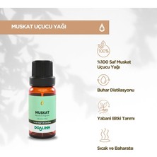 Doalinn Muskat Uçucu Yağı 10 ml