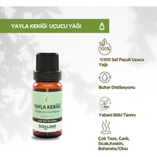 Doalinn Yayla Kekiği Uçucu Yağı 10 ml