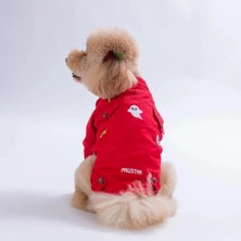 PawStar 26203-Kırmızı Cancun Pop Ceket