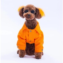 PawStar 25211-Turuncu Cancun Pop Ceket