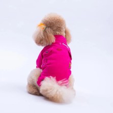 Pawstar Fuşya Cancun - Cancún Ceket Gabardin Çıtçıtlı Kedi Köpek Ceketi Kedi Köpek Kıyafeti Kedi Köpek Elbisesi