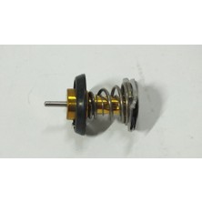 Bh Daıly 3,0 / Canter 2012- / TR75/TFR85/PRESTIJ Euro 5 4D10 FEB91 / Boxer / Jumper 3,0 Termostat 79 C