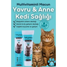 Vitpaw Kitten Paste 100 Gr.(Yavru & Anne Bağışıklık Destekleyici Multivitamin Malt) Yavru Vitamin