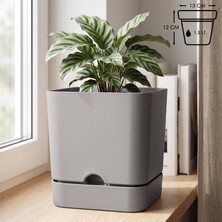 ToXA 1.5 Litre Bej Begonya Kare Saksı Mat Drenajlı Tabaklı Plastik Saksı