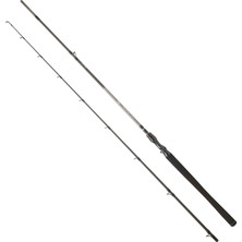 Daiwa Exceler Ef 224 cm 28-84 gr Tetikli Spin Kamış