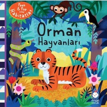 Çarşı Point Orman Hayvanları