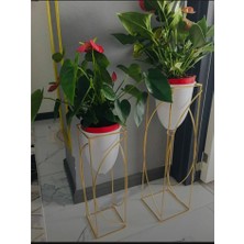 Metal 2'li Gold Ayaklı Dekoratif Beyaz Saksı Çiçeklik Vazo FLYON-HSN102