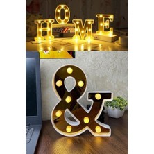 Elivora Store Dekoratif LED Işıklı 3D Büyük Boy Organizasyon Doğum Günü Kutlama (And)