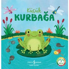 Çarşı Point Küçük Kurbağa – Doğanın Eşsiz Hikayeleri 7