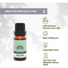 Doalinn Ardıç Meyvesi Uçucu Yağı 10 ml