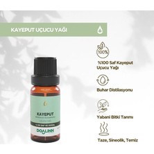 Doalinn Kayeput Uçucu Yağı 10 ml