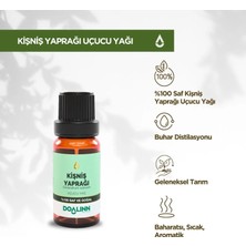 Doalinn Kişniş Yaprağı Uçucu Yağı 10 ml