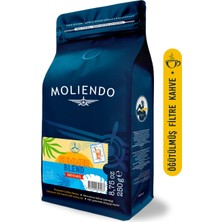 Moliendo Finest Coffee Summer Blend (Öğütülmüş Filtre Kahve) 250 G