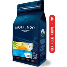 Moliendo Finest Coffee Moliendo Summer Blend (Çekirdek Kahve) 250 G