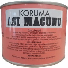 Borensa Koruma Aşı Macunu 250 gr