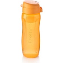 Empressco 500 ml Ince Ayçiçeği Şişe Suluk ve Matara, Şeffaf ve Hafif Tasarım