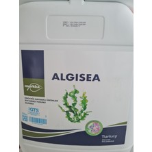 Markka Genetik Sıvı Denizyosunu  Algısea