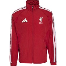 Adidas Erkek Ceket Lfc H Anth KV6736