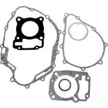 Msr Cnt 100 Honda Cbf 150 Conta Seti