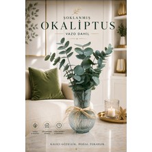 Nc Design Concept Şoklanmış Okaliptus Demeti Vazo Dahil – Dekoratif Ev Hediyesi, Kurutulmuş Okaliptus Dalı, Salon ve Ofis Dekoru