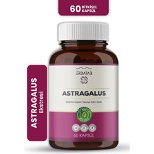 Erbatab Astragalus Çin Geveni Ekstresi 60 Kapsül