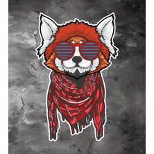 Sticker Usta Gözlüklü Kedi Sticker - Araba Oto Motosiklet Karavan Cam Araç Sticker - 00296