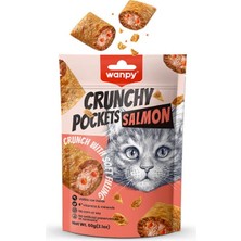 Wanpy Crunch Somonlu Kedi Ödül Maması 60 gr