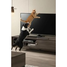Sevgi Butik Usin Vidasız Montajsız Kendinden Yapışkanlı LCD Tv Kemeri Çoçuk Y Tipi Deprem Koruma Güvenlik Askısı
