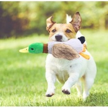 Fun And Market Buğz Sesli Ördek Şekilli Peluş Köpek Oyuncağı