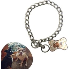Fun And Market Buğz 65 cm Uzunlukta Zincir Model Köpek Için Boyun Tasması