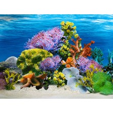 Arka Fon (Mercan Bahçesi) Uzunluk 50 cm (Yükseklik 50 Cm) NO:9024