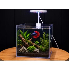 Akvona Betta Set 01