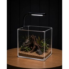 Akvona Betta Set 02