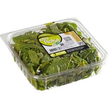 Erüst Roka Baby 125 gr (8'li Paket)
