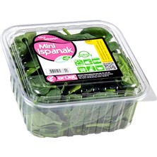 Erüst Ispanak Mini 150 gr (8'li Paket)