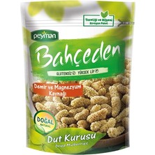 Peyman Bahçeden Dut Kurusu 100G (5'li Paket)