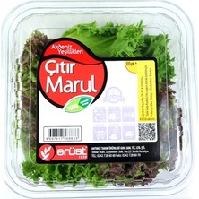 Erüst Marul Çıtır 100 gr (3'li Paket)