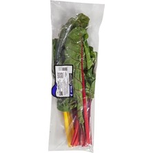 Erüst Pazı Renkli Adet (5'li Paket)