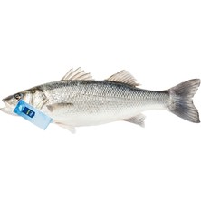 Metro Chef Levrek 4lü (8'li Paket)