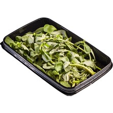 Metro Chef Semizotu(Corn Salad) 150 G (8'li Paket)